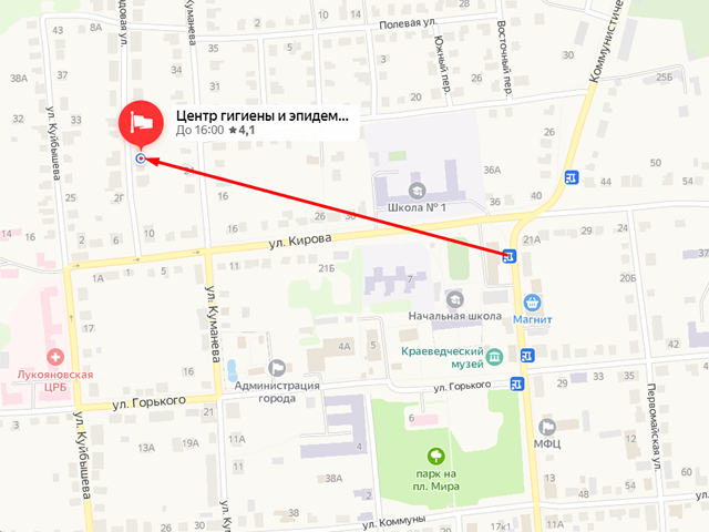 Территориальный отдел Управления Федеральной службы по надзору в сфере защиты прав потребителей и благополучия человека по Нижегородской области в Лукояновском, Большеболдинском, Гагинском, Починковском, Шатковском районах